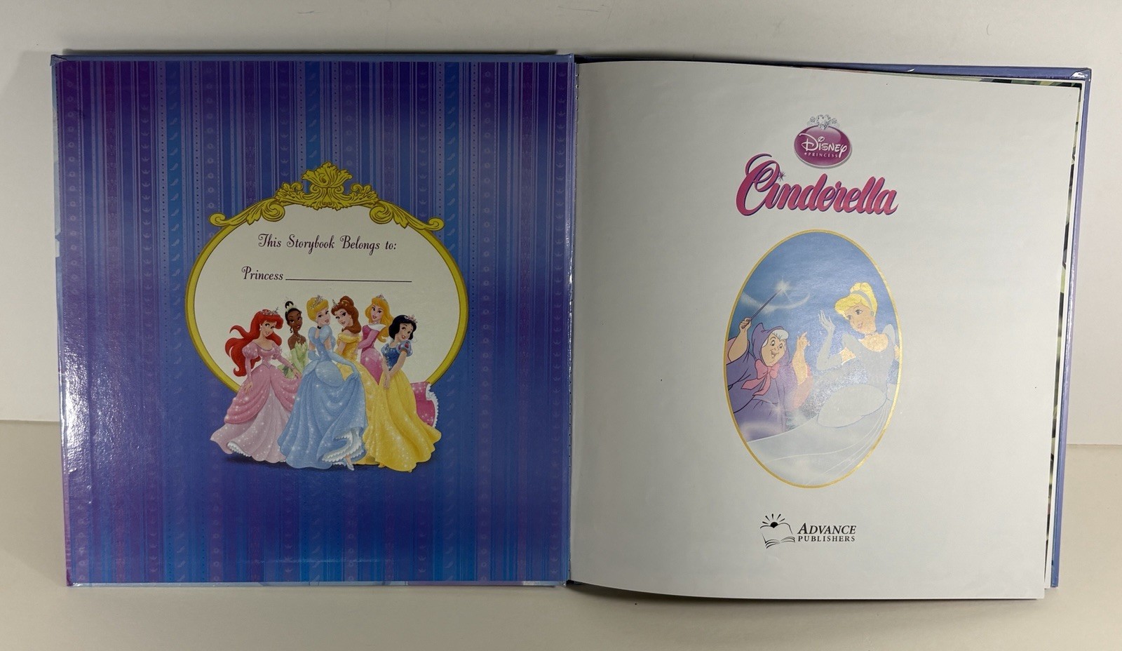 Lot of 9 Disney Princess Books: 1, 2, 3, 6, 7, 9, 10, 11, 12, Illustrated HCs