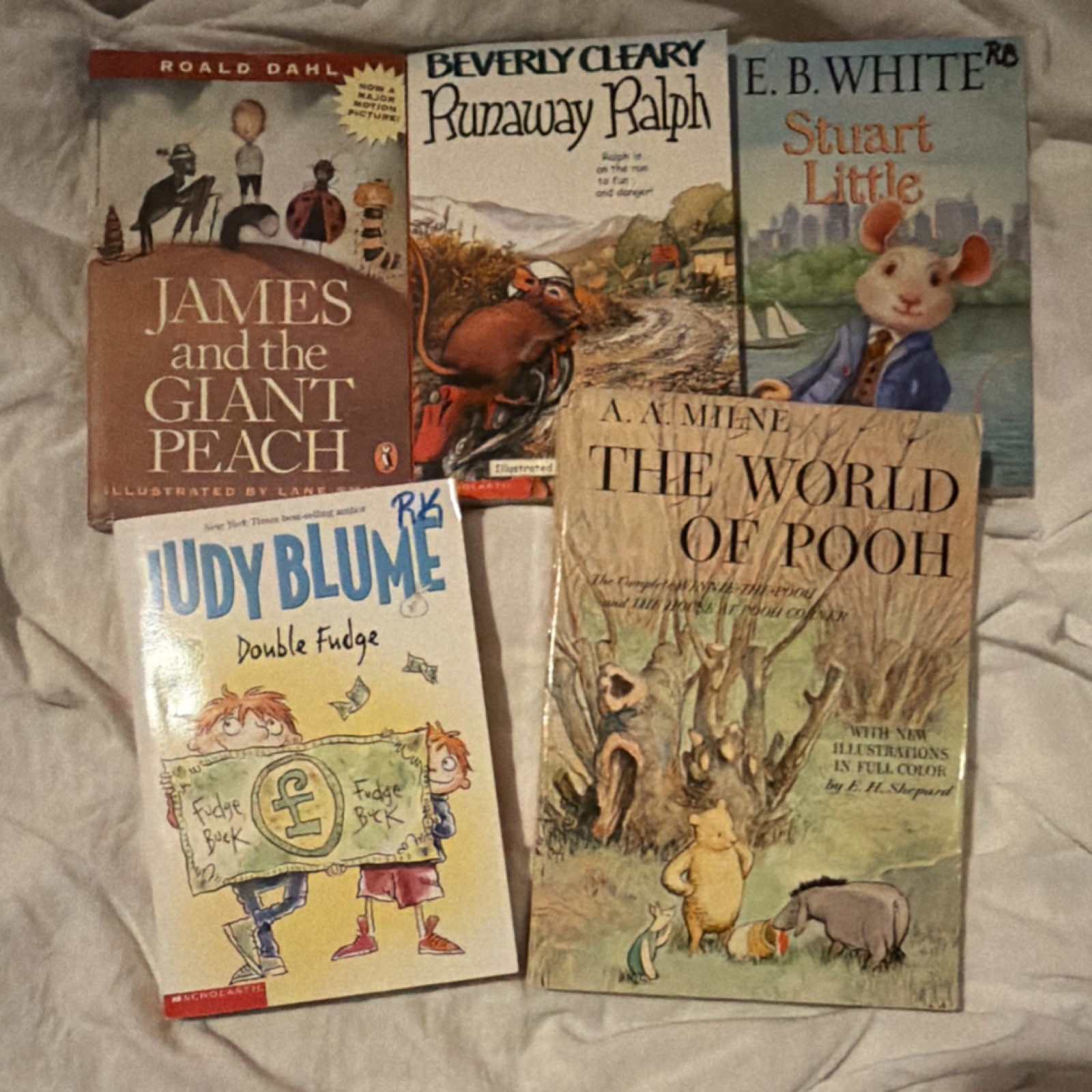 Lot of 5 Children&rsquo;s Fiction Books – Roald Dahl, Beverly Cleary, Adventure