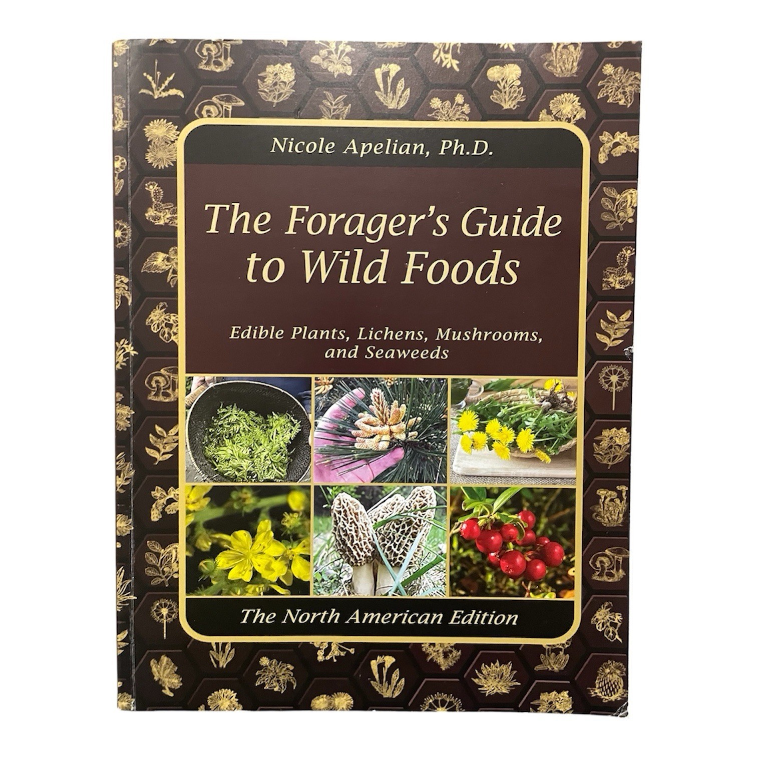 The Forager&rsquo;s Guide to Wild Foods North American Edition 2021 Nicole Apelian