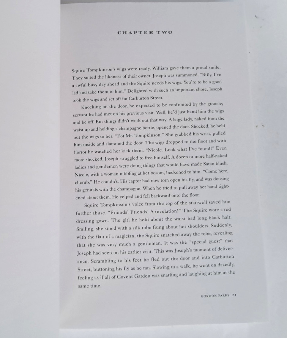 The Sun Stalker: A Novel Based on the Life of Joseph Mallord William Turner