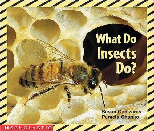 What Do Insects Do? (Science Emergent Reader) – Paperback – VERY GOOD