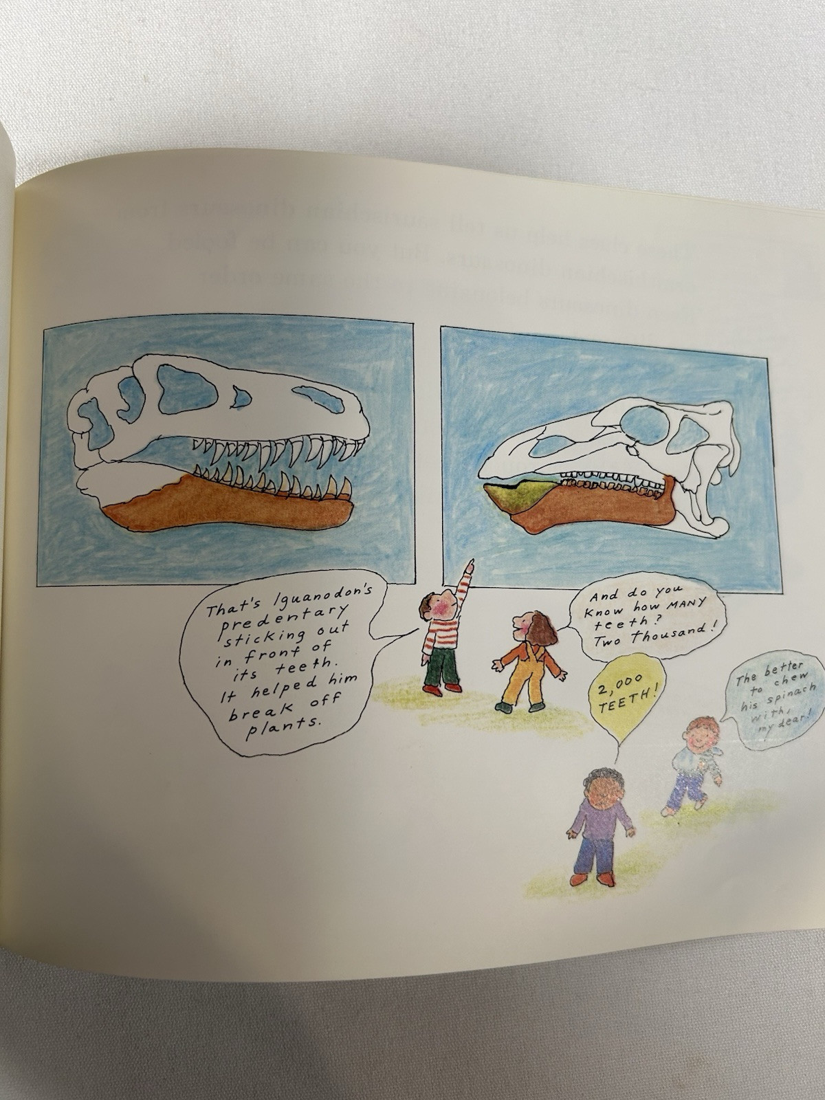 Dinosaurs Are Different Book and Tape (Let&rsquo;s-Read-and-Find-Out Book). 1985