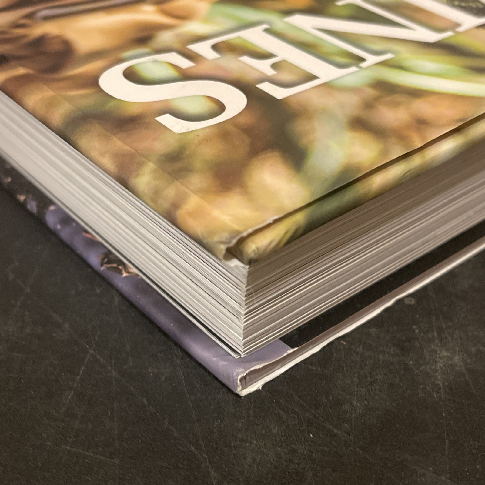 NEW – The Marines Hardcover Book – Chris McNab- Large (9.25×12) 384 Pages Unused