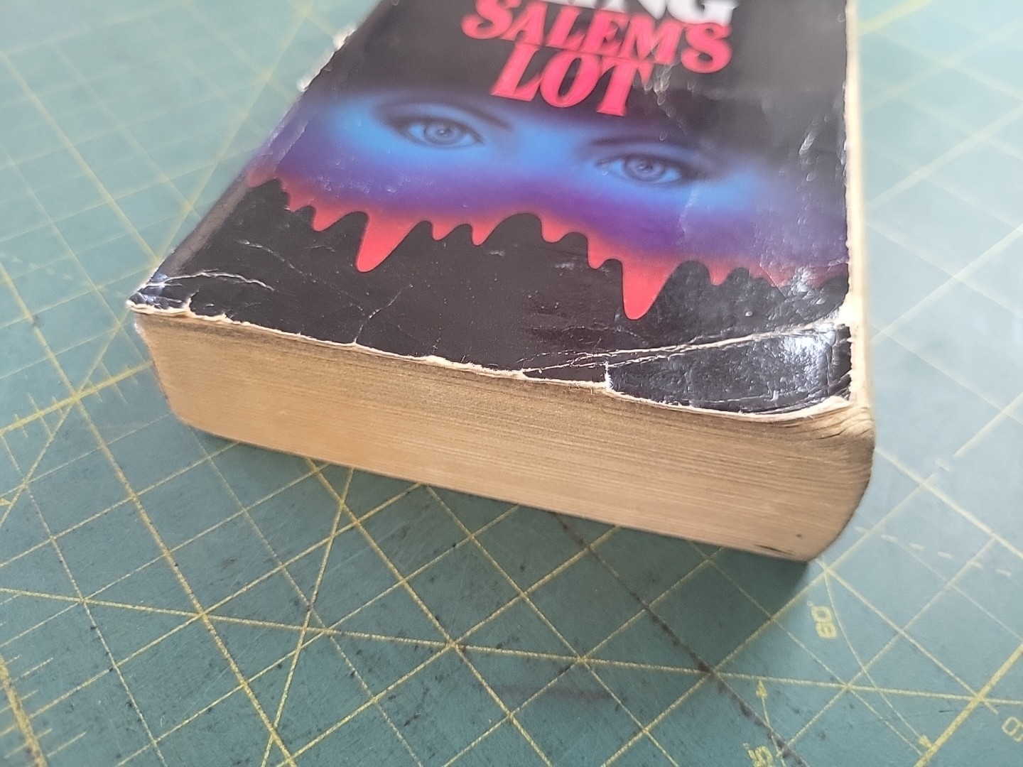 Stephen King &lsquo;SALEM&rsquo;S LOT – Signet Paperback – 1976 Horror Vintage Vampires