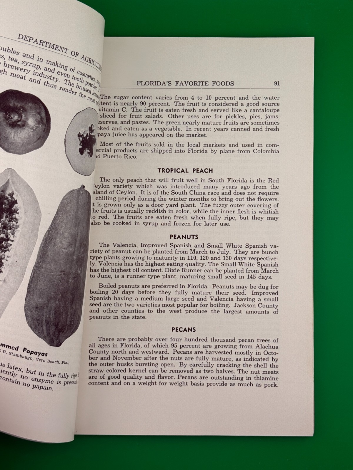Vintage Florida&rsquo;s Favorite Foods Cookbook 1959 Florida Agriculture Recipes