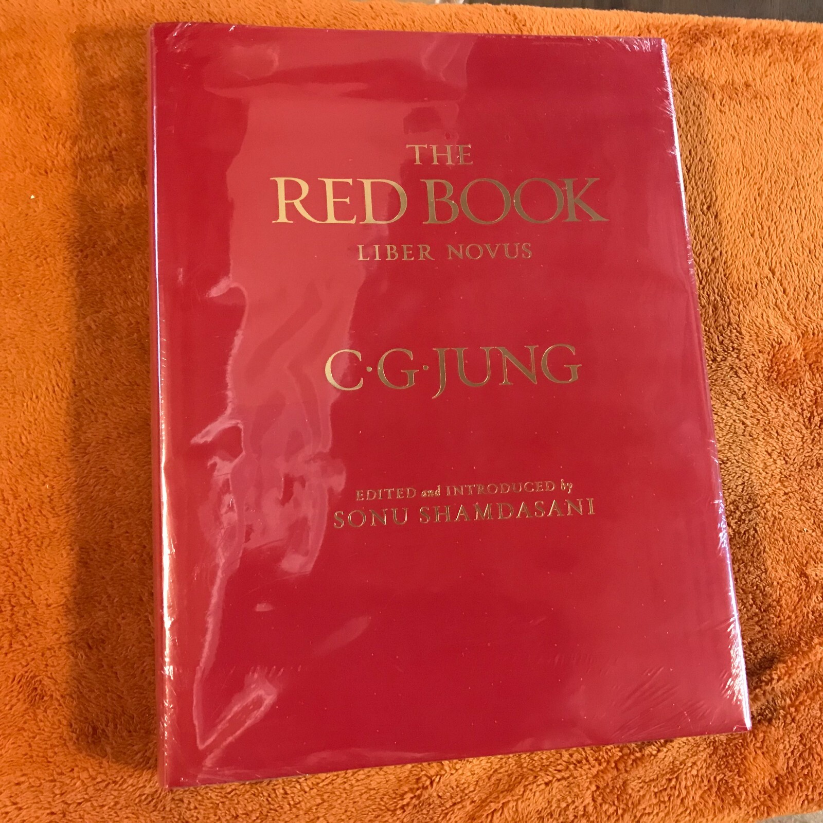 C.G. Carl Jung hardcover THE RED BOOK liber novus SEALED philemon &rsquo;09 illus eng!