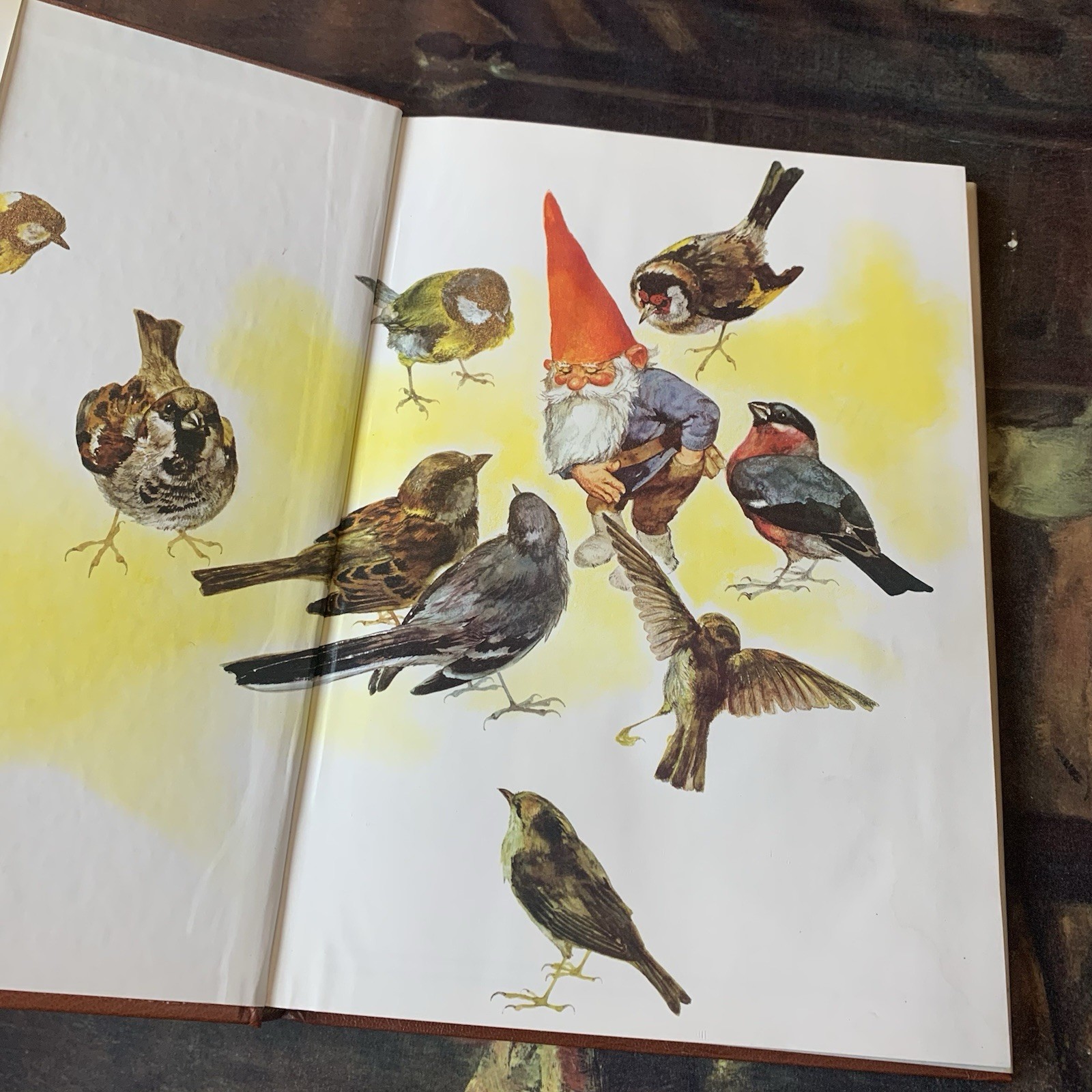 Gnome Hardcover Book By Poortvliet 1976 Copyright Color Pictures
