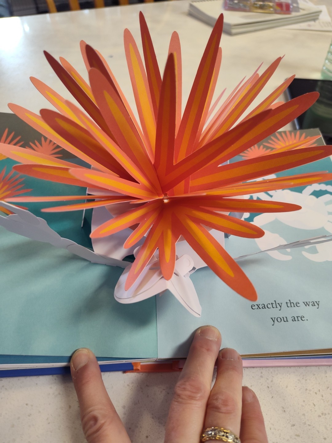 Love: A Pop-up Celebration by Robert Sabuda Hardcover Book