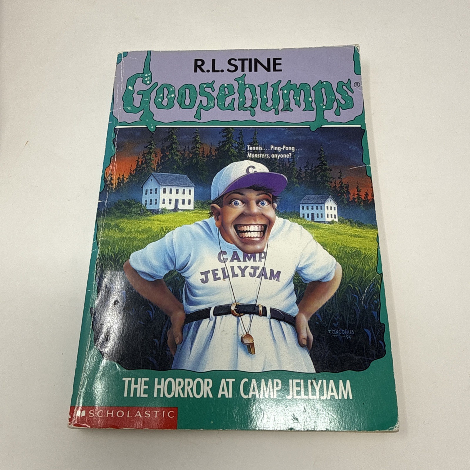 Lot of 12 VTG Goosebumps Scholastic Books 1990’s Paperbacks R L Stine Modern