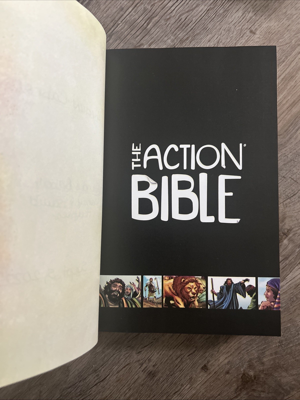 The Action Bible: God&rsquo;s Redemptive Story by Sergio Cariello Graphic Novel