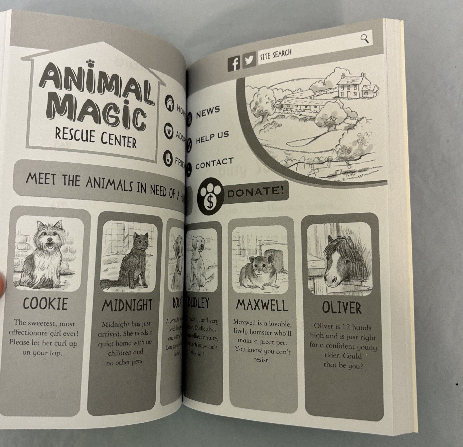 Animal Rescue Center 3 books in 1 Unwanted Puppy Homeless Foal Lonely Kitten