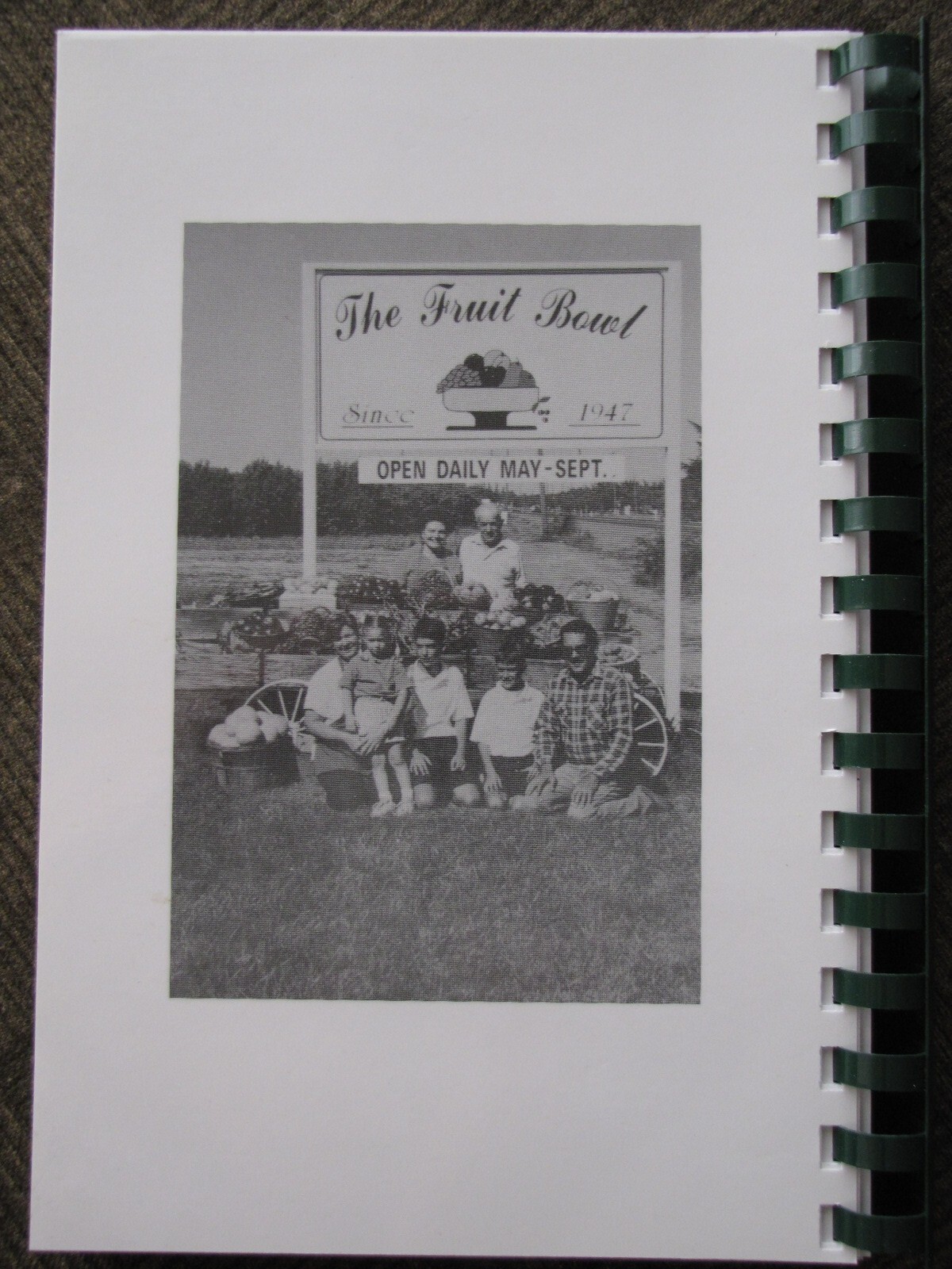 FAVORITE RECIPES Variety Pack by Ina Lucchetti 244+ pages from « THE FRUIT BOWL »
