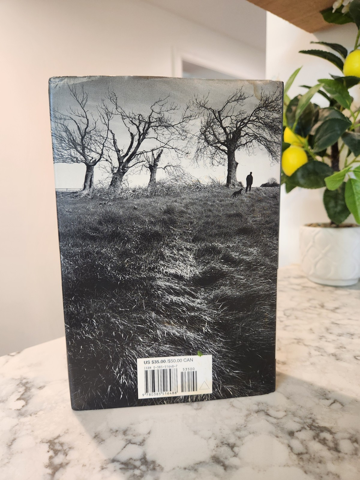 Salem&rsquo;s Lot by Stephen King (2005, Hardcover) Illustrated First Edition