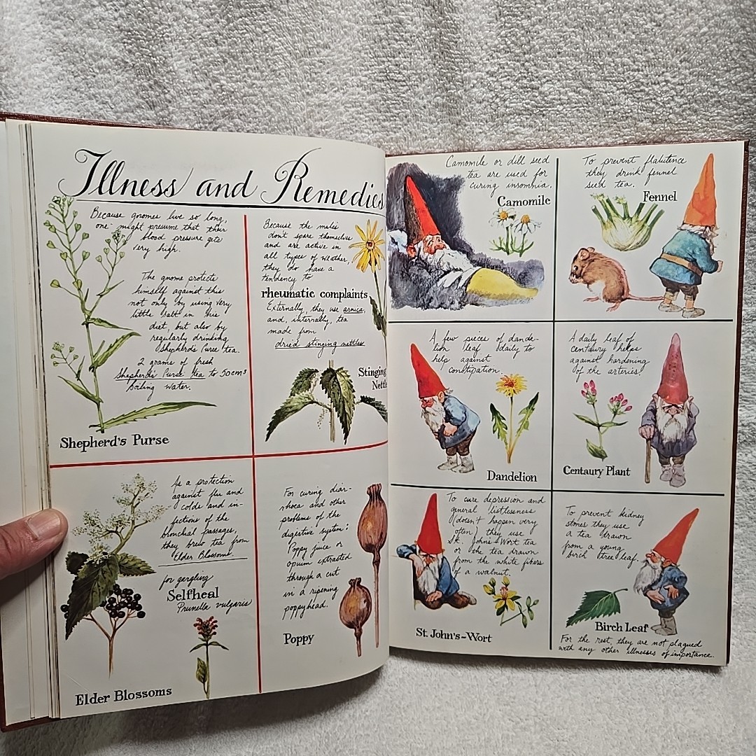 GNOMES Book By Wil Huygen & Illustrated Rien Poortvliet (1977 H.N Abrams Inc. HC