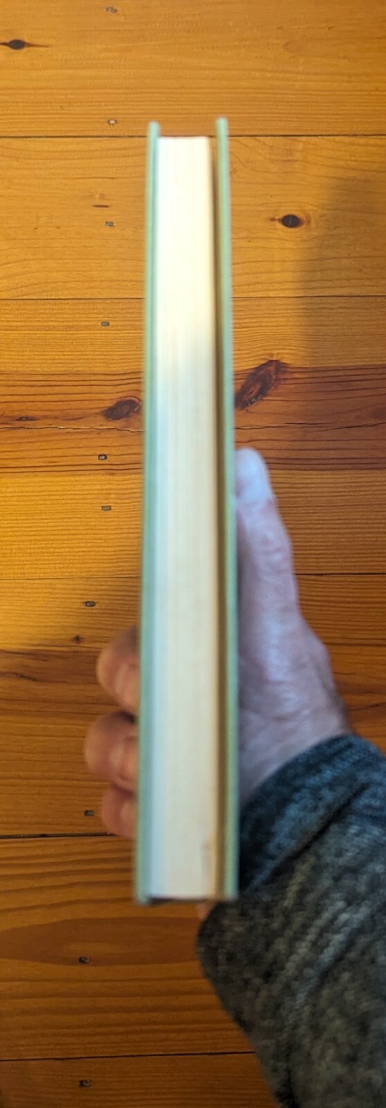 The Little Professor of Piney Woods by Beth Day-1955-1st-NY-Julian Messner-192pp