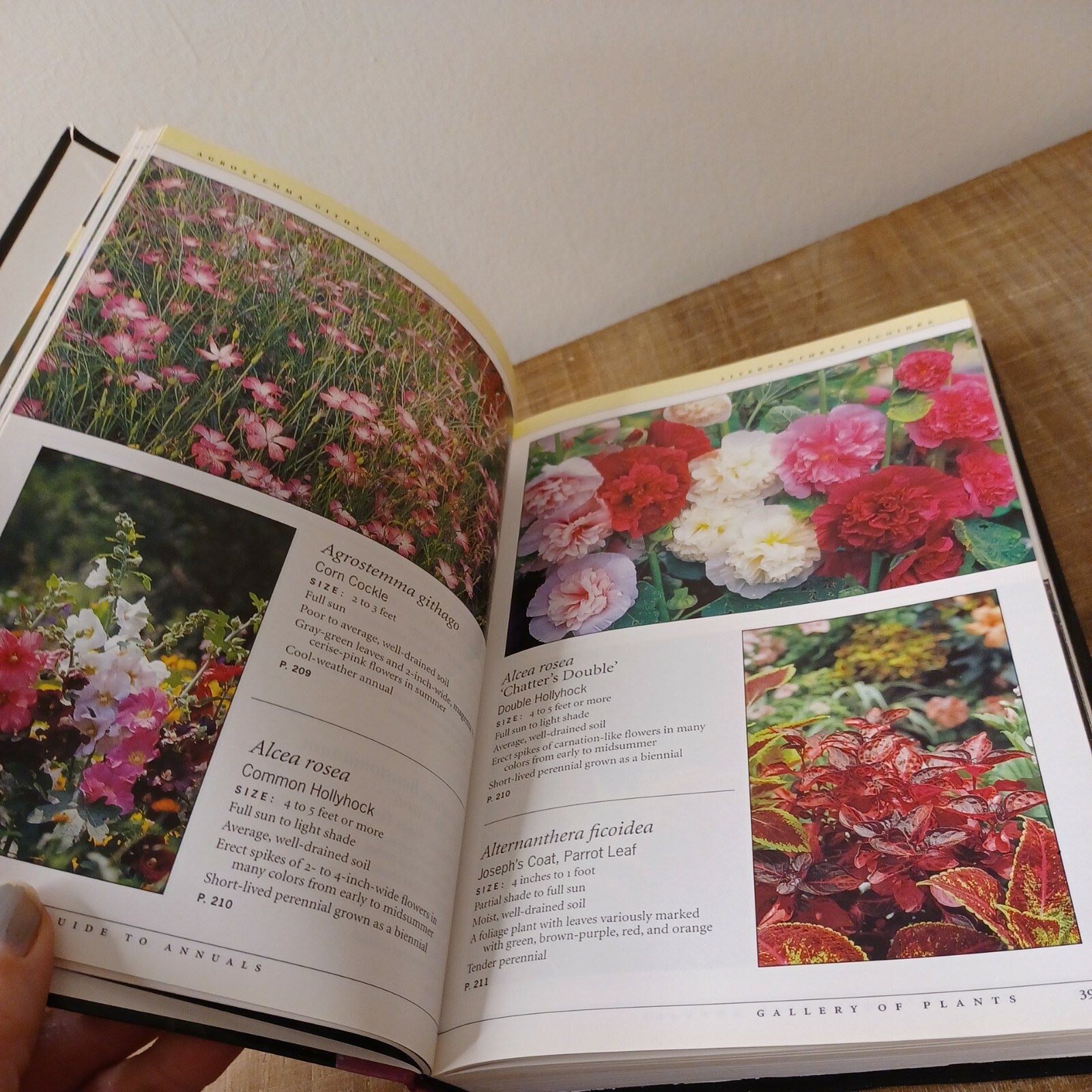Taylor&rsquo;s Guides: Taylor&rsquo;s Guide to Annuals : How to Select and Grow More Than 4…