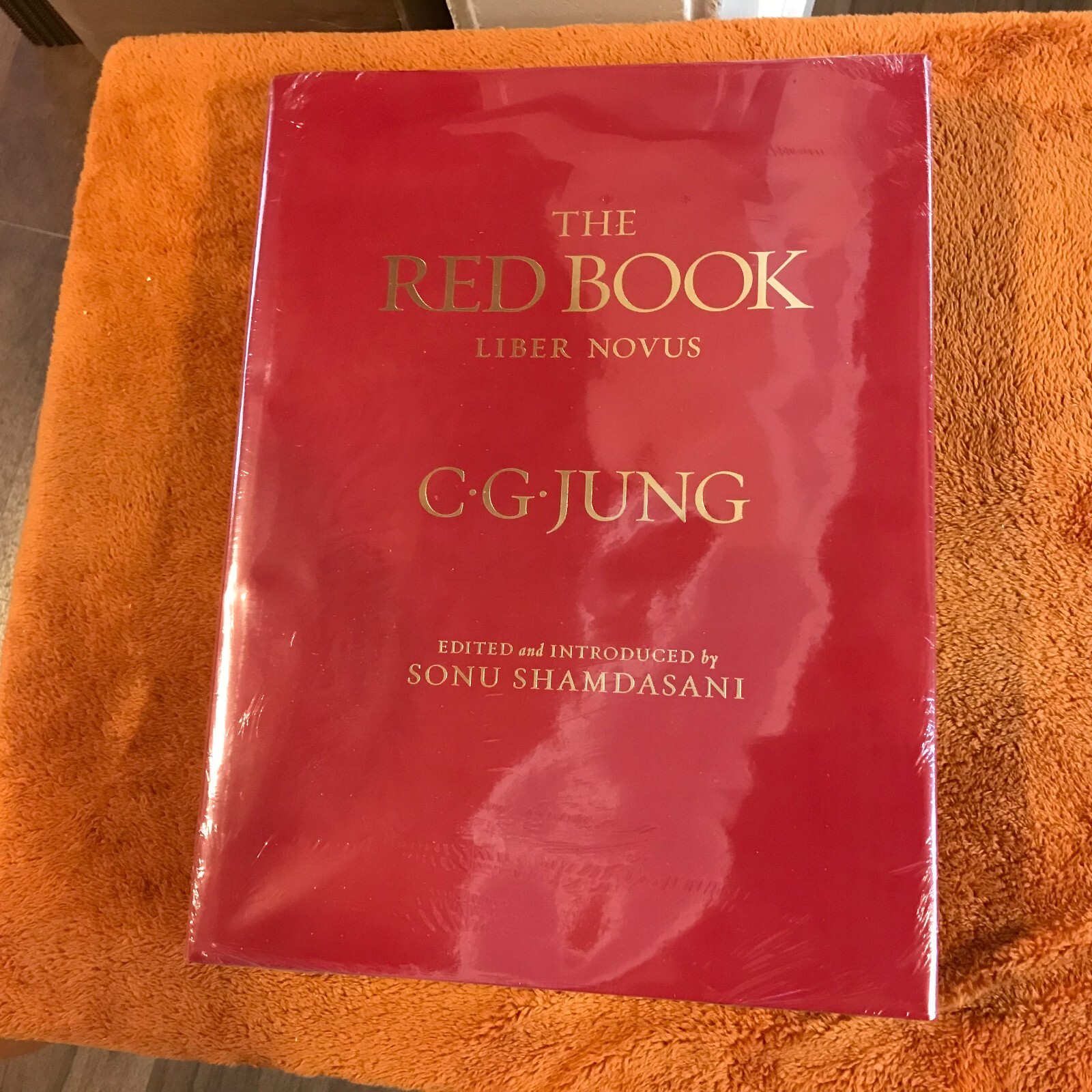 C.G. Carl Jung hardcover THE RED BOOK liber novus SEALED philemon &rsquo;09 illus eng!
