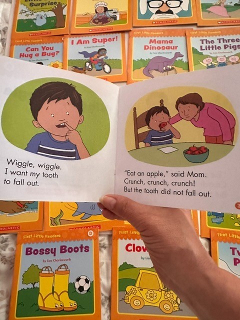 Lot of 43 First Little Readers/Buddy Readers Level D- Scholastic- Kinder/1st gr