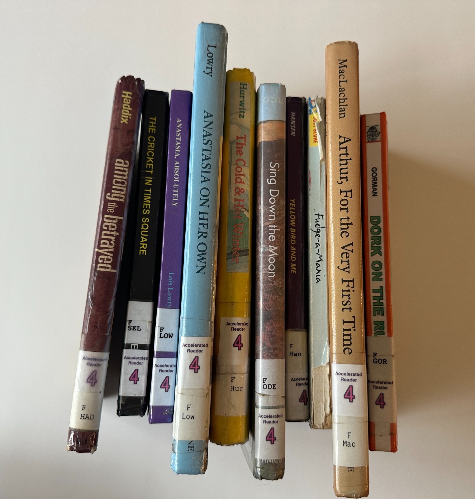 Lot of 10 Random 4th Grade Children&rsquo;s Chapter Book Series – Elementary Library