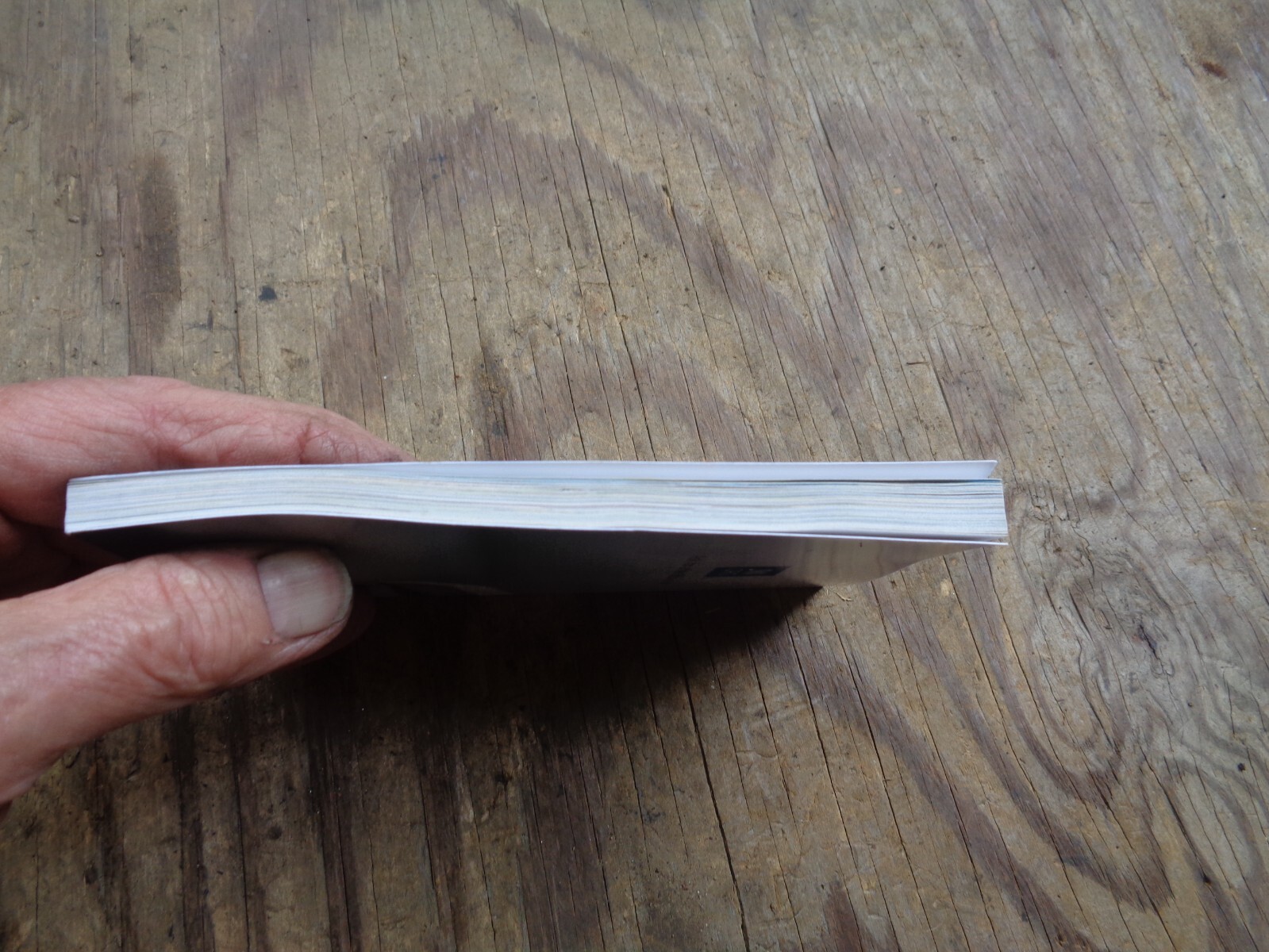 « WHAT DOES THE BIBLE REALLY TEACH? ». 2016. 223 pages. Paperback. Watchtower