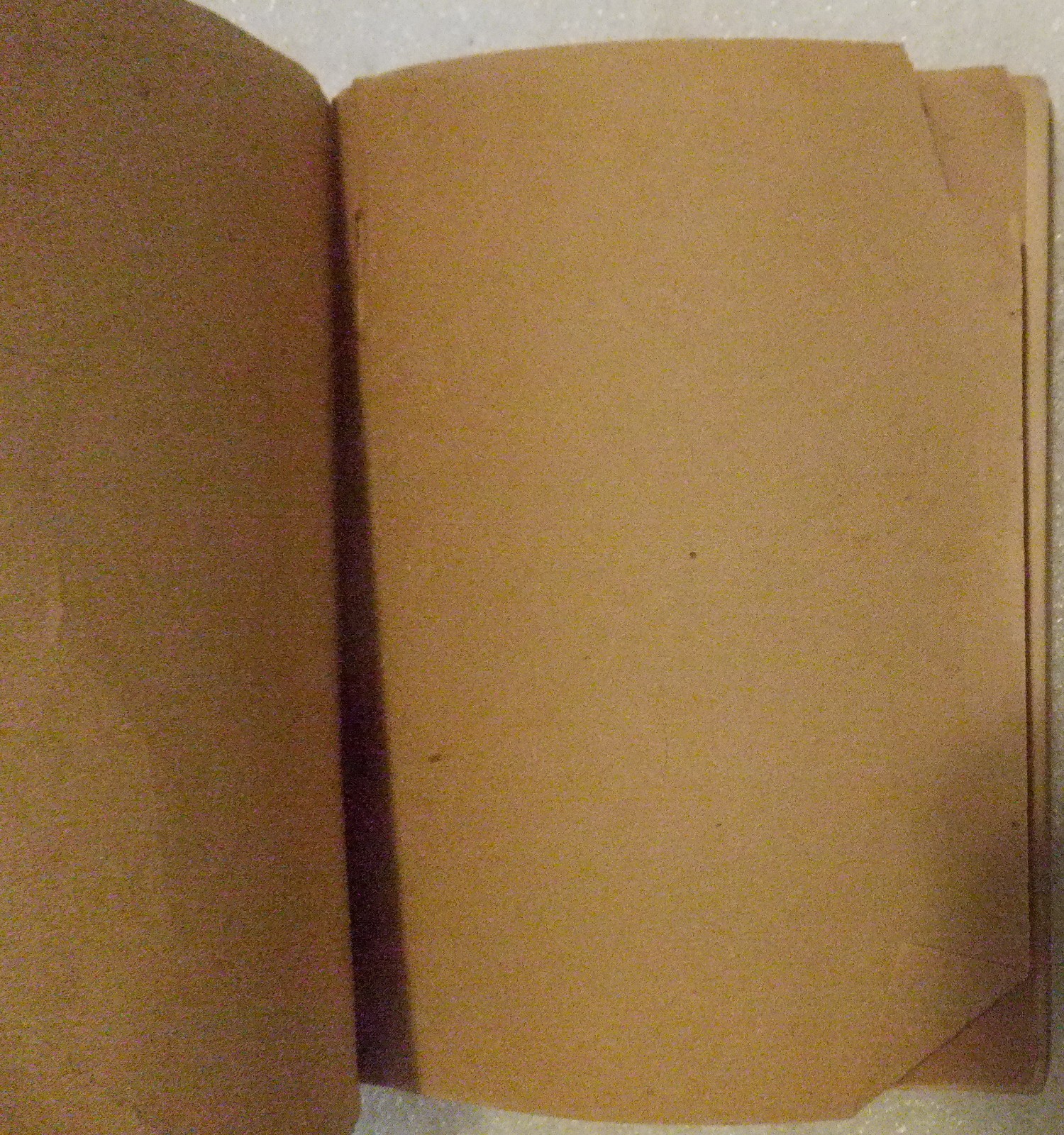 Mr. Durant of Salt Lake City: « That Mormon »./ FAIR 1905 Softcover. 221 pages.