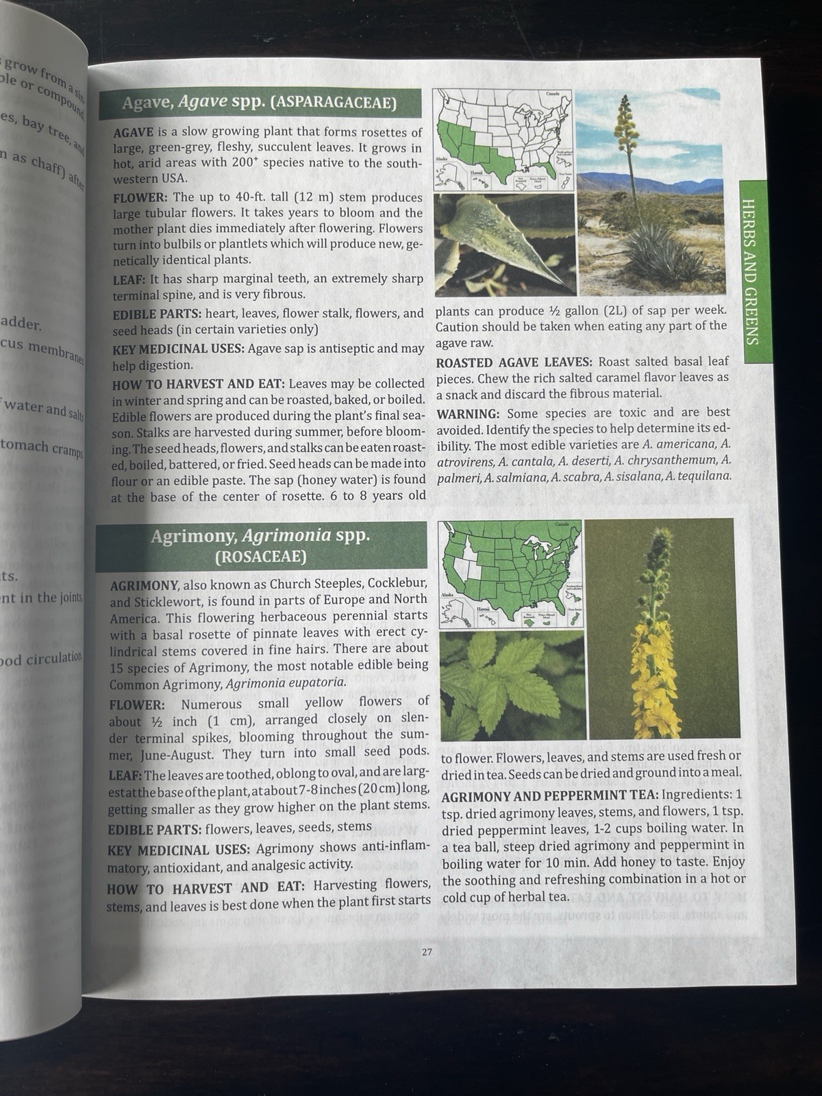 The Forager&rsquo;s Guide to Wild Foods North American Edition by Nicole Apelian