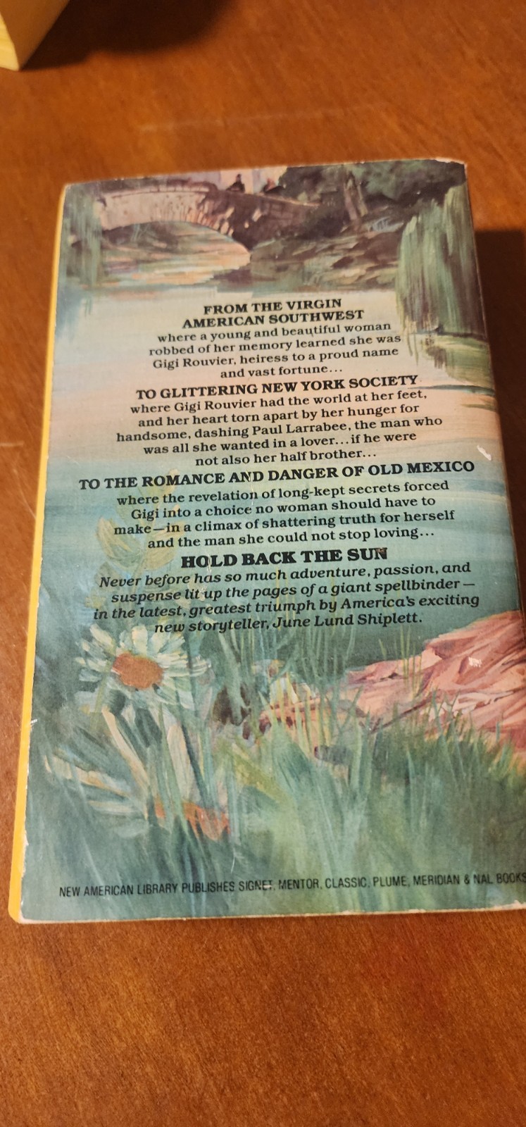 HOLD BACK THE SUN by June Lund Shiplett Signet Book 1st Printing 1981 Paperback