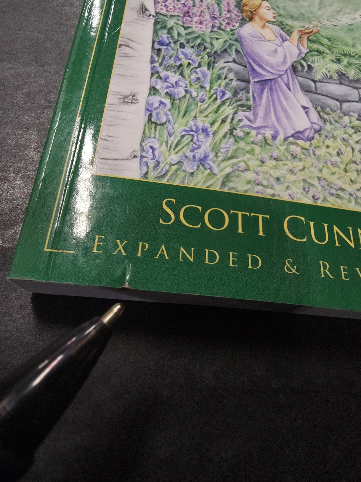 Cunningham&rsquo;s Encyclopedia of Magical Herbs (Llewellyn&rsquo;s Sourcebook Series)