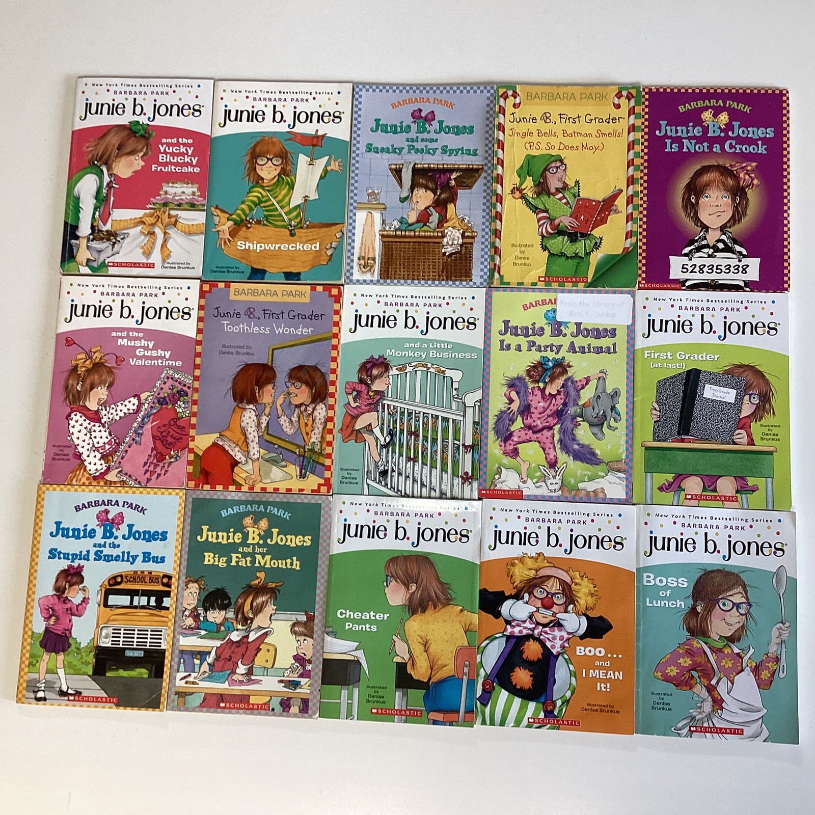 Junie B Jones 15 Book Lot Barbara Park