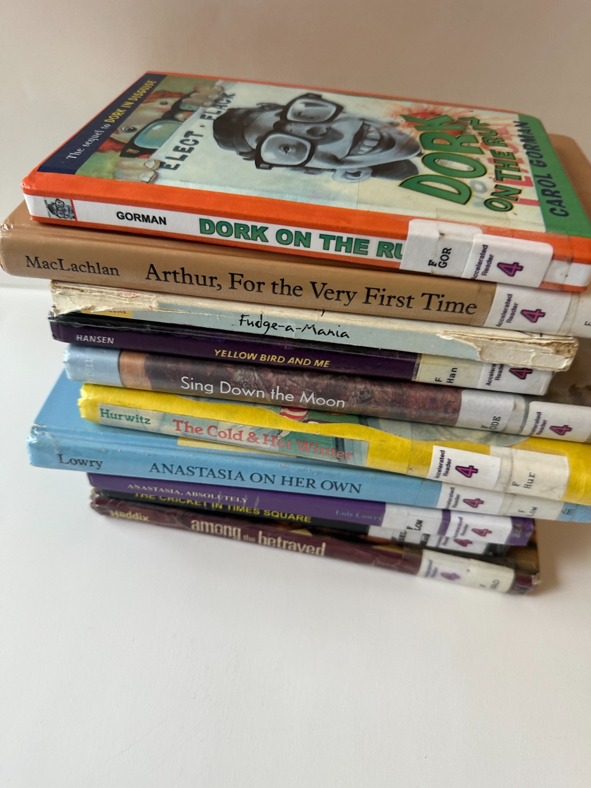 Lot of 10 Random 4th Grade Children&rsquo;s Chapter Book Series – Elementary Library