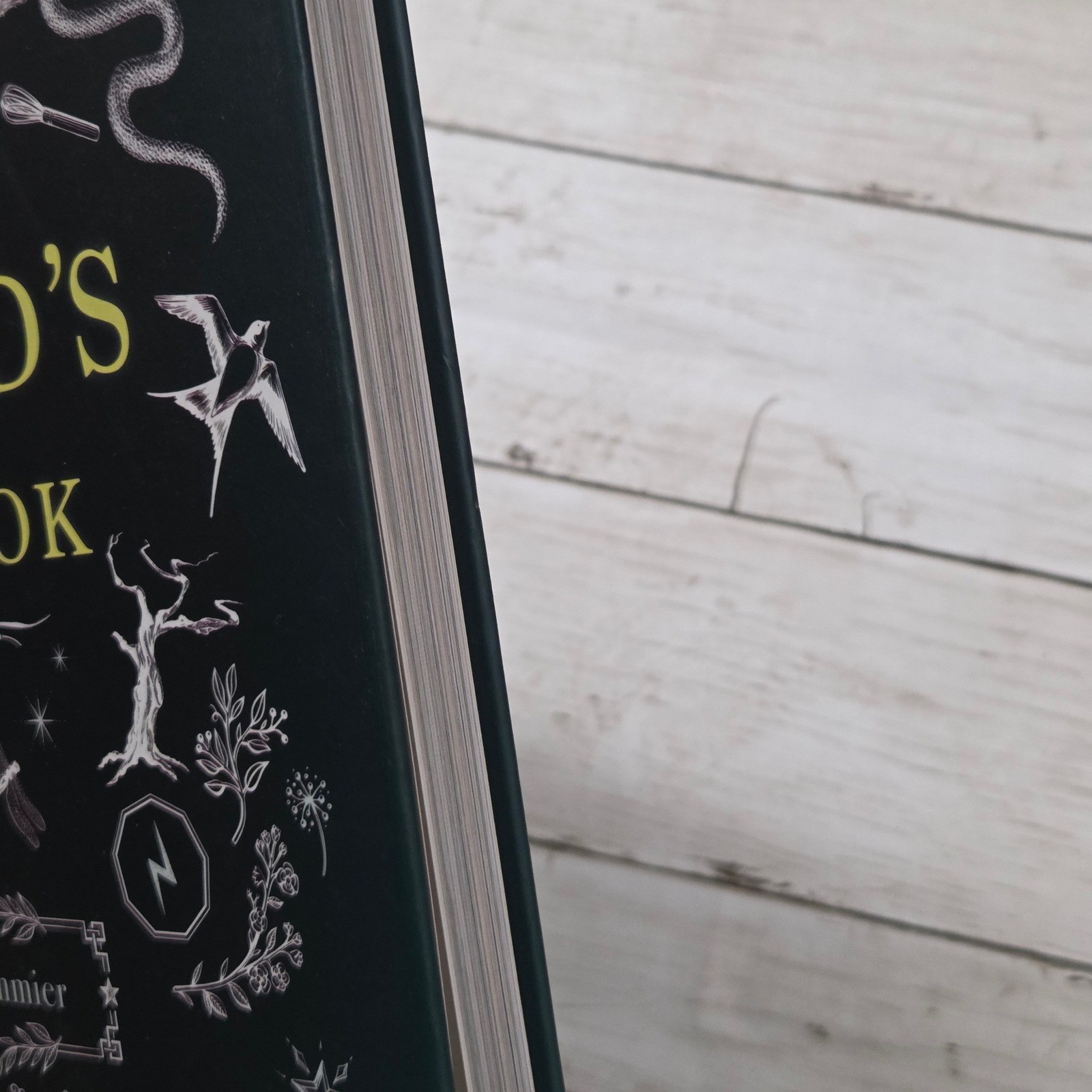 The Wizard&rsquo;s Cookbook Magical Recipes Hardcover Skyhorse Cookbook