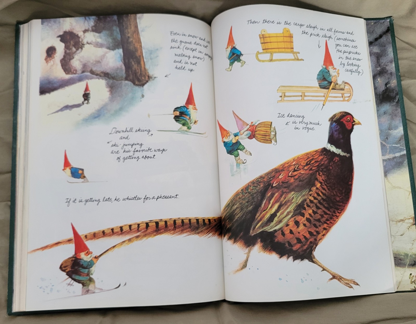 Secrets of the Gnomes by Rien Poortvliet and Wil Huygen (1982, Hardcover)