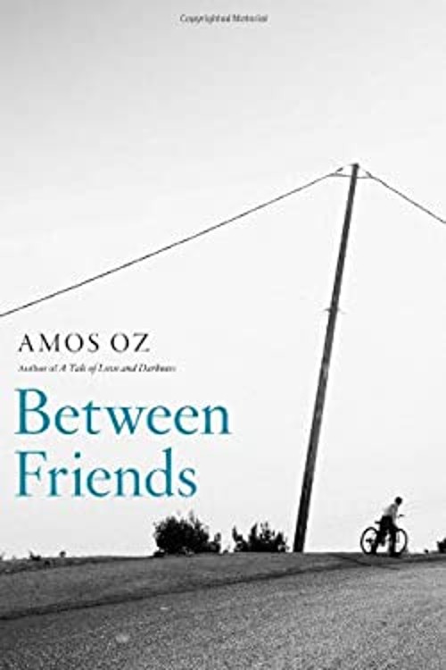 Between Friends : The Correspondence of Hannah Arendt and Mary Mc