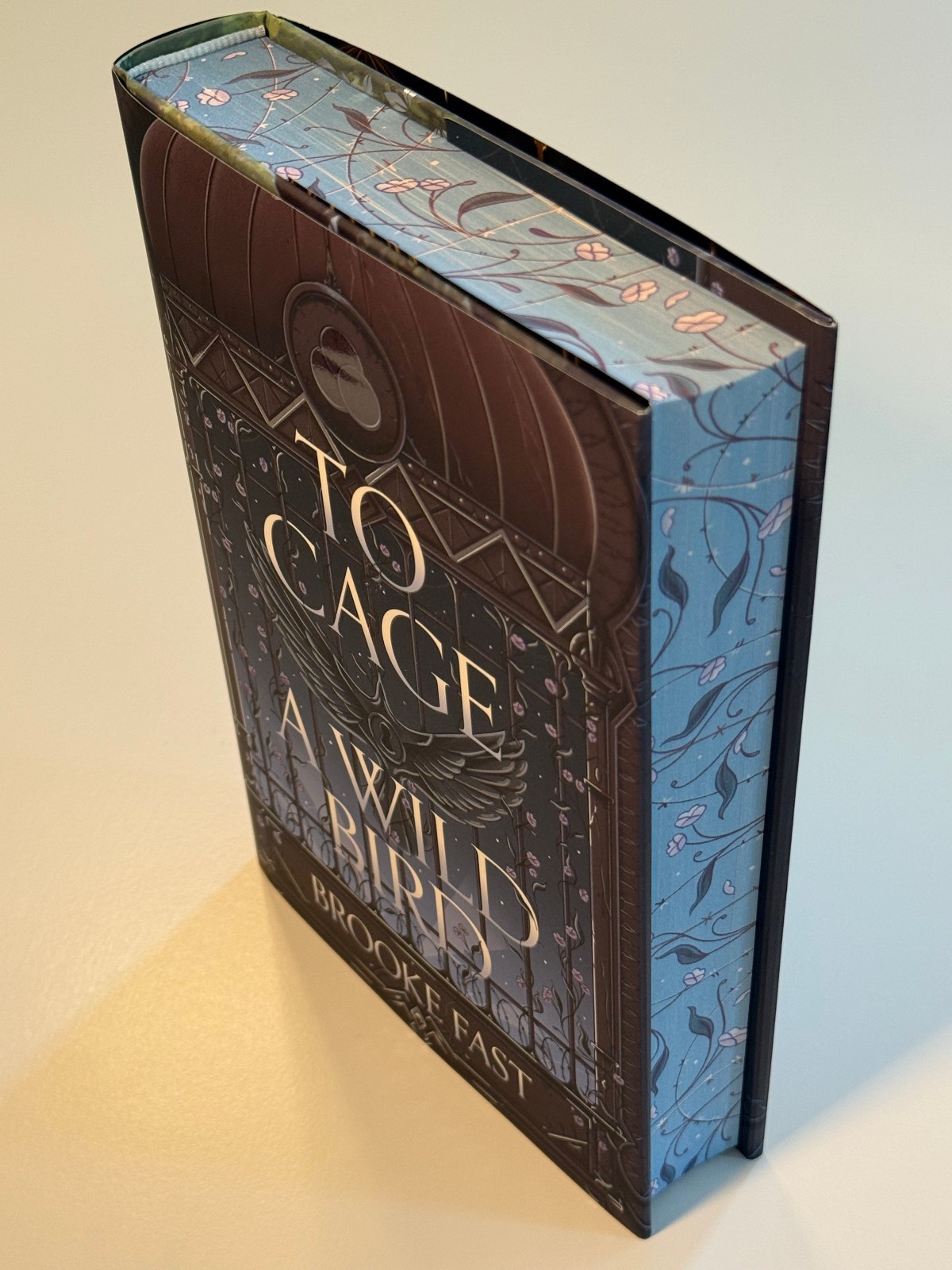 To Cage A Wild Bird by Brooke Fast Fairyloot November 2025 Romantasy Exclusive