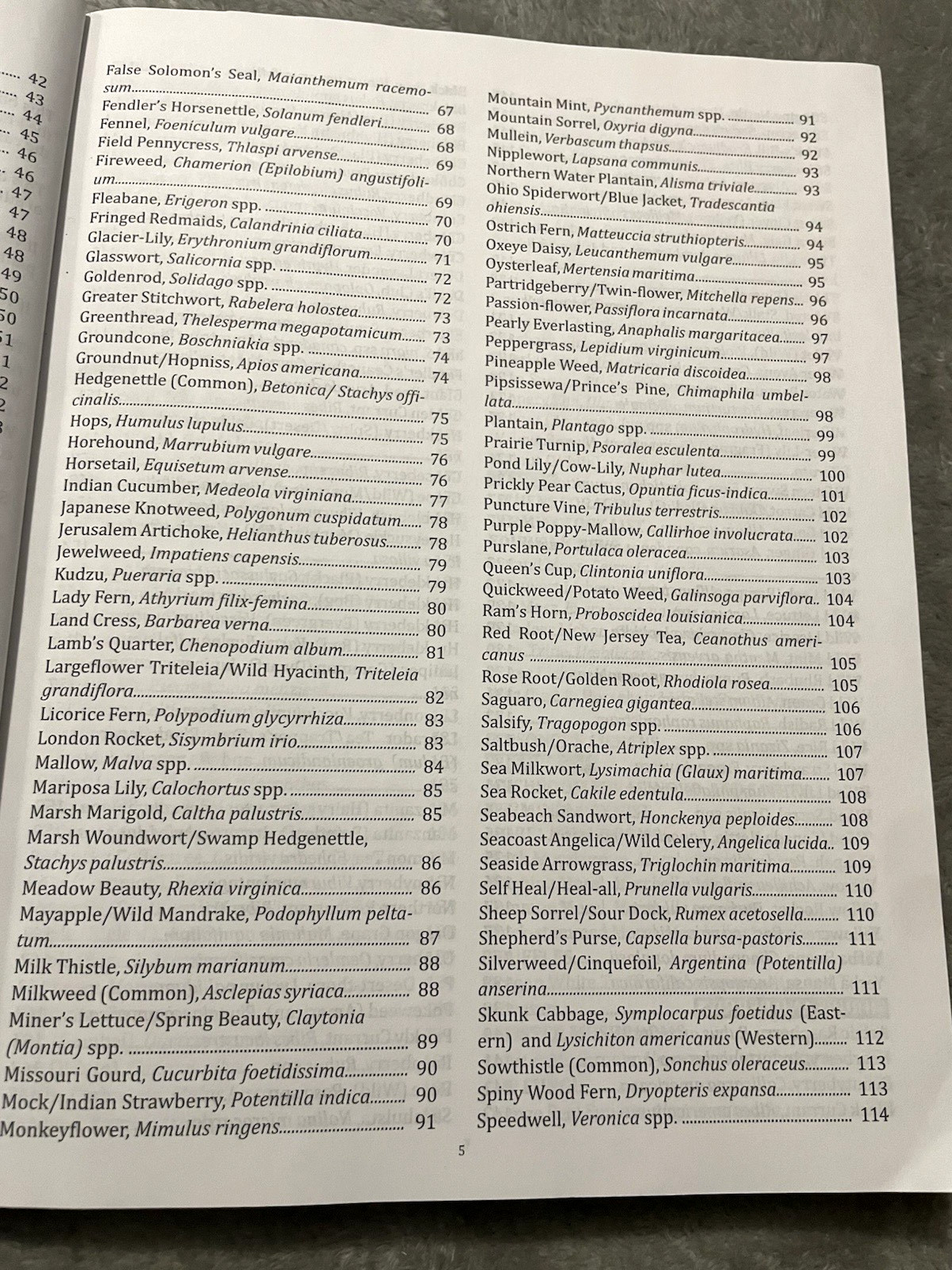 The Forager&rsquo;s Guide to Wild Foods North American Edition 2021 Nicole Apelian