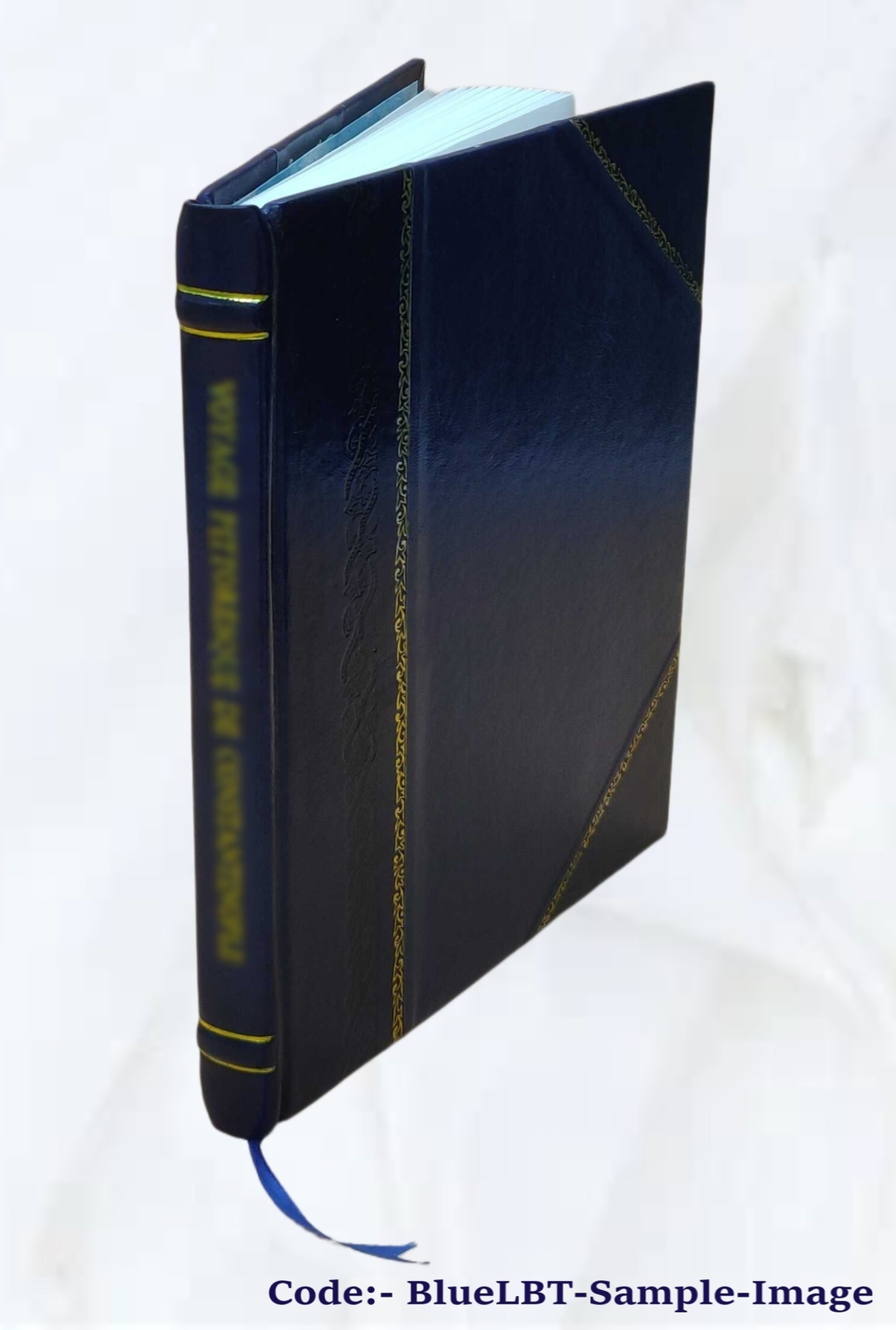 On Consumption, & Tuberculosis Of The Lungs.. 1873 By E. H. Ruddock Leatherbound