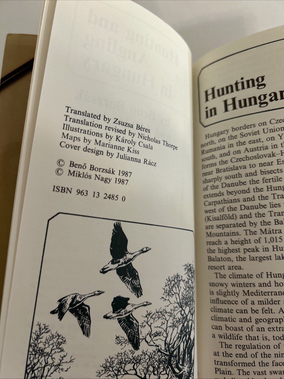 Hunting and Angling in Hungary by Borzsak & Nagy, 1987, hc/dj