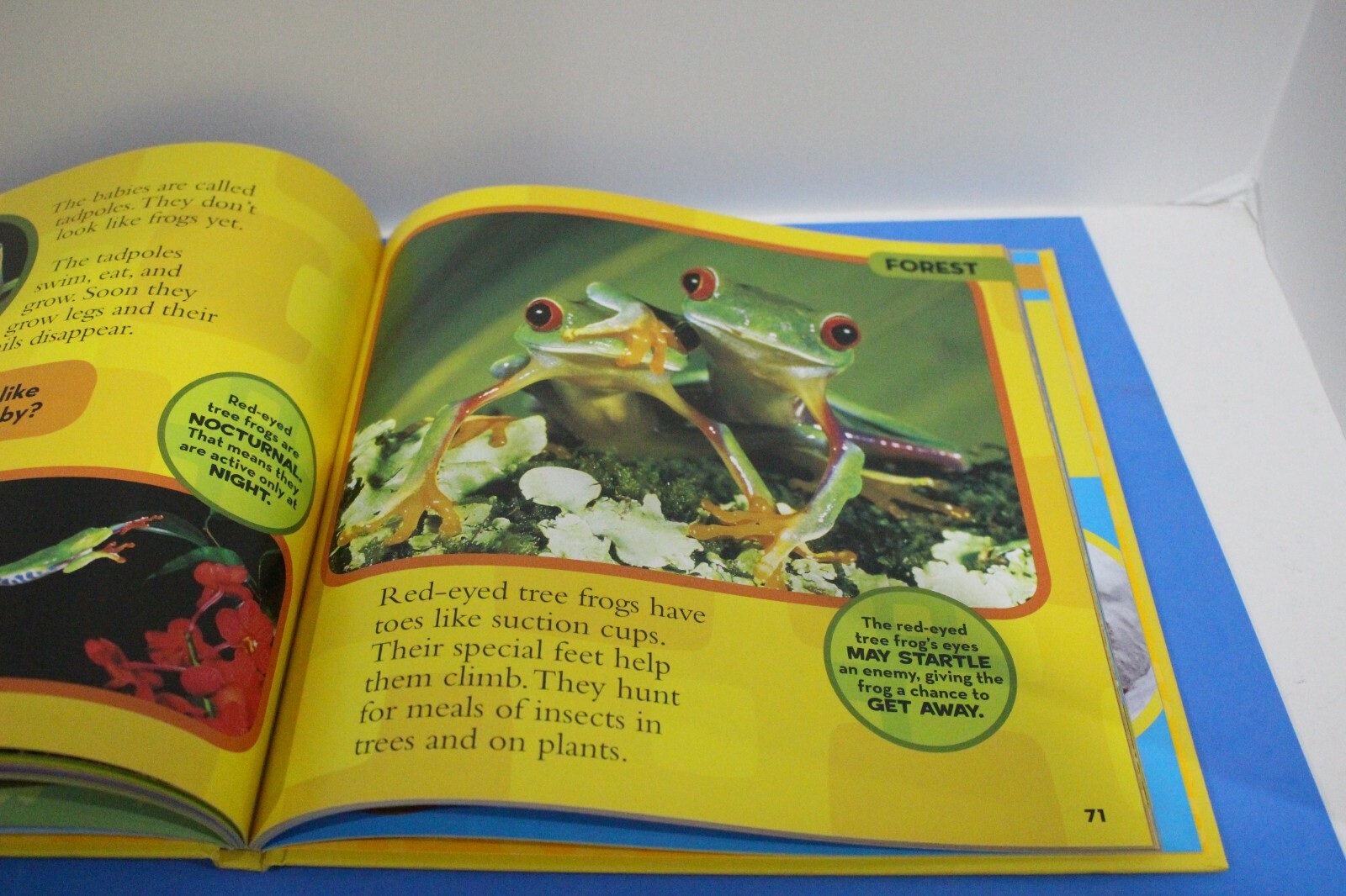 National Geographic Little Kids First Big Book of Animals by Catherine Hughes