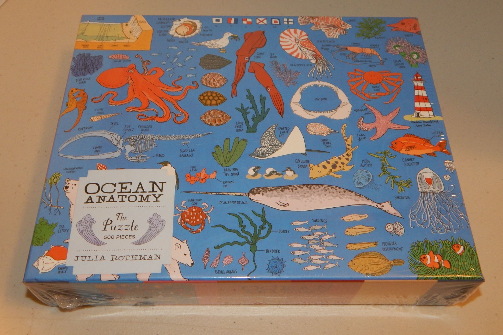 Ocean Anatomy THE PUZZLE 500 Pieces by Julia Rothman NIB SEALED 23 4/5&Prime; X 19&Prime;