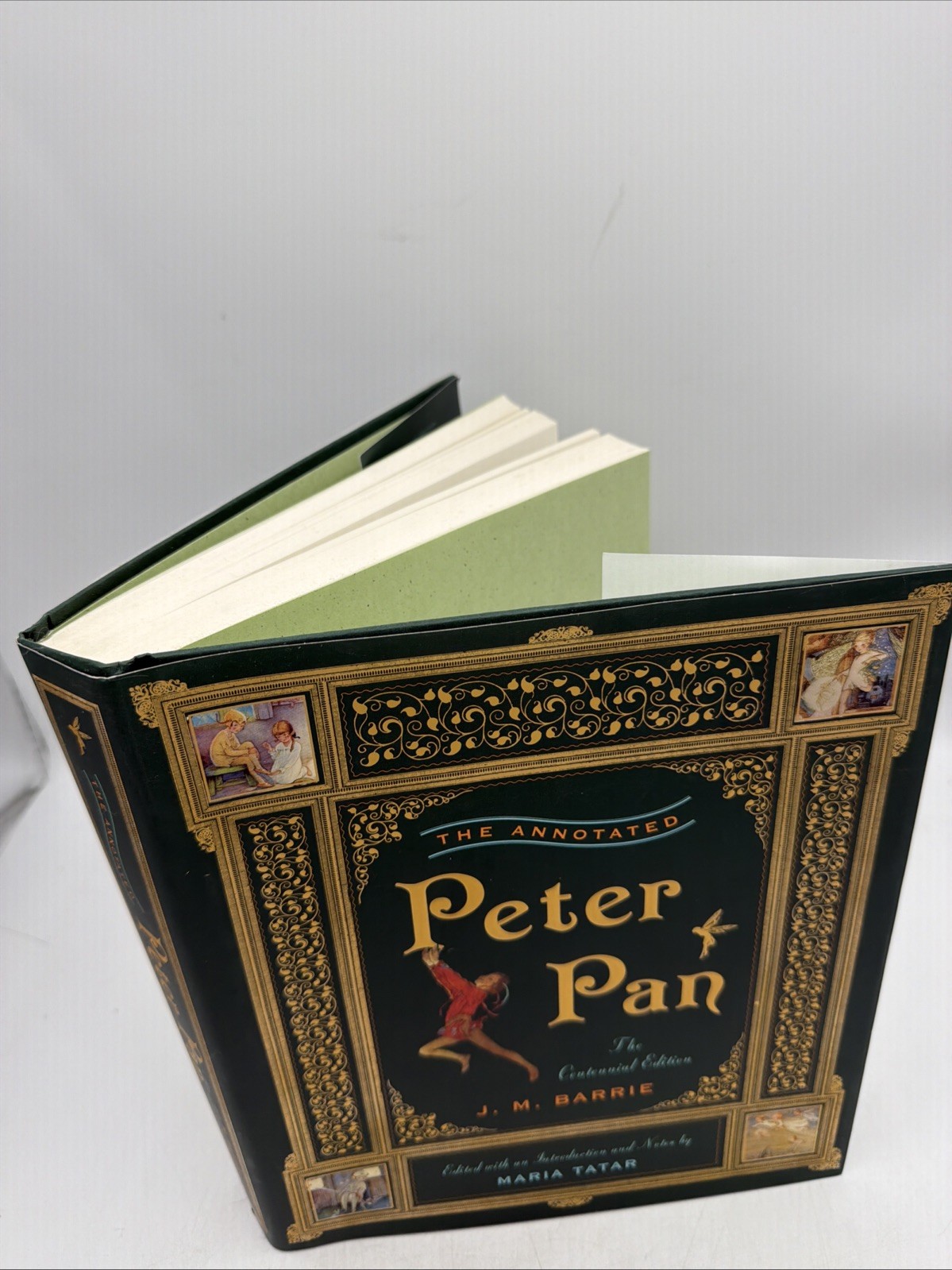 Annotated Peter Pan by J. M. Barrie (2011, Hardcover) Centennial Edition F