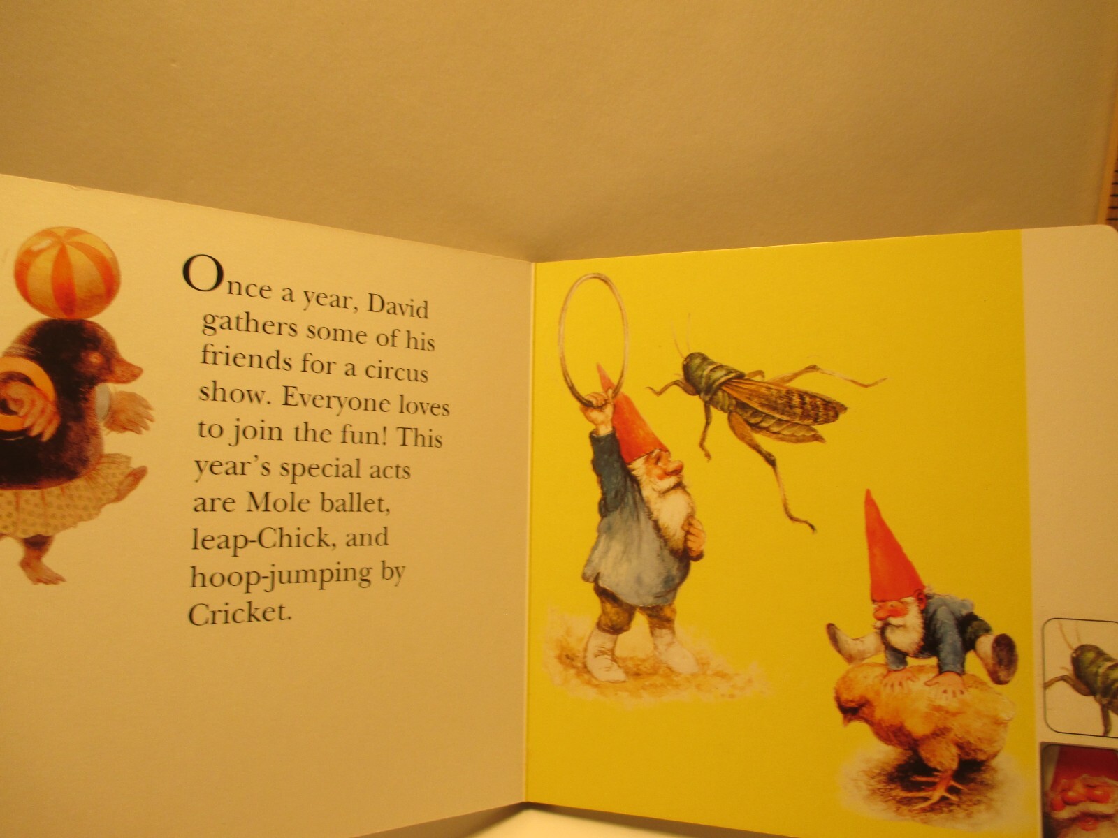 children&rsquo;s board book GNOME PLAYTIME by RIEN POORTVLIET 1997 Kabouter Netherland