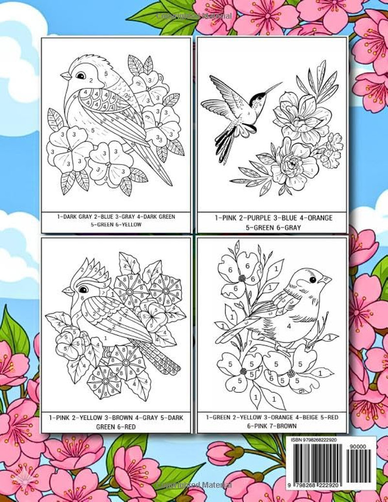 100 Page Color by Number Large Print Adult Coloring Book: Easy Color by Number