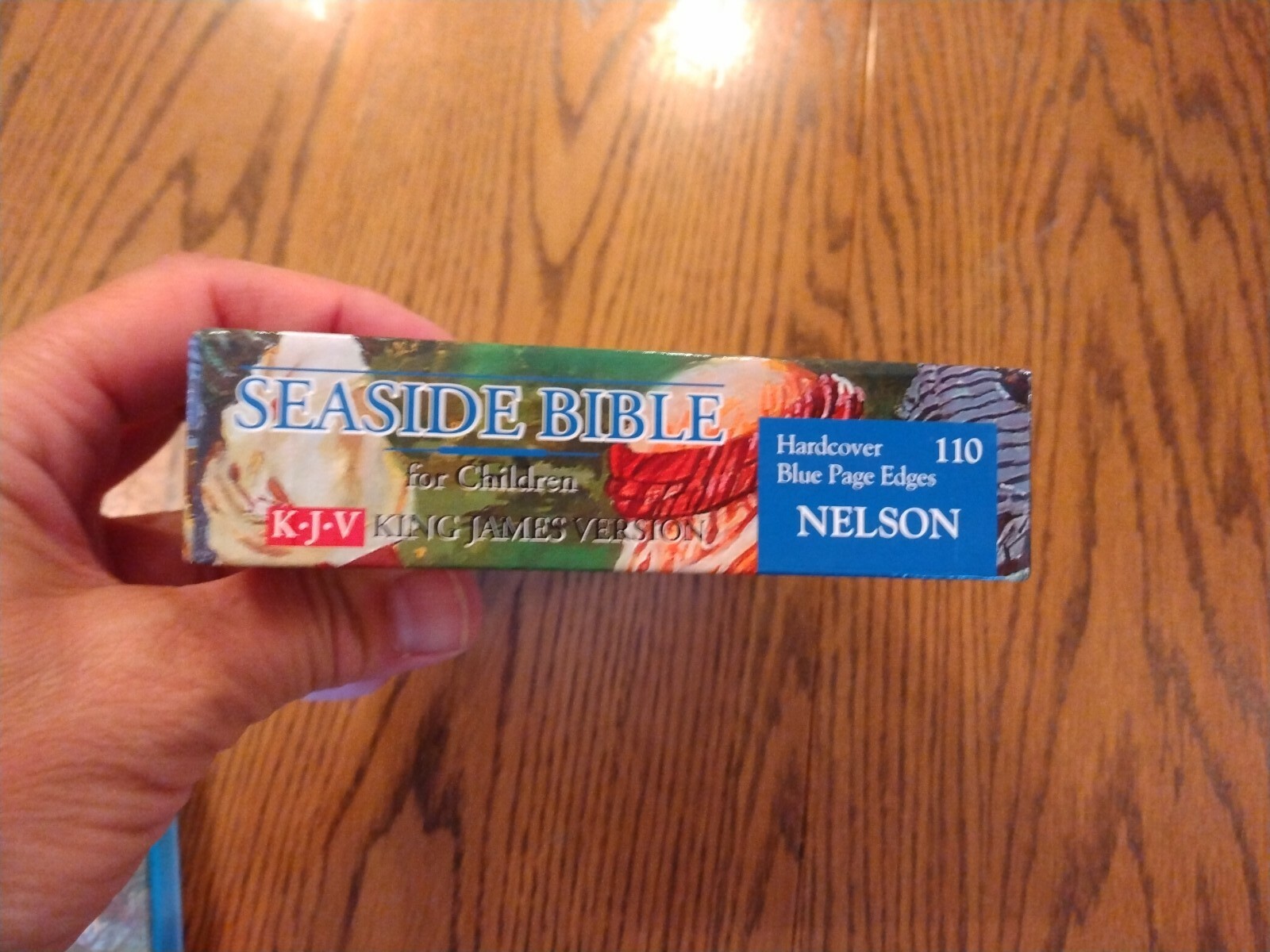 Children&rsquo;s Bible KJV Seaside Bible Illustrated Nelson Hardcover blue edge