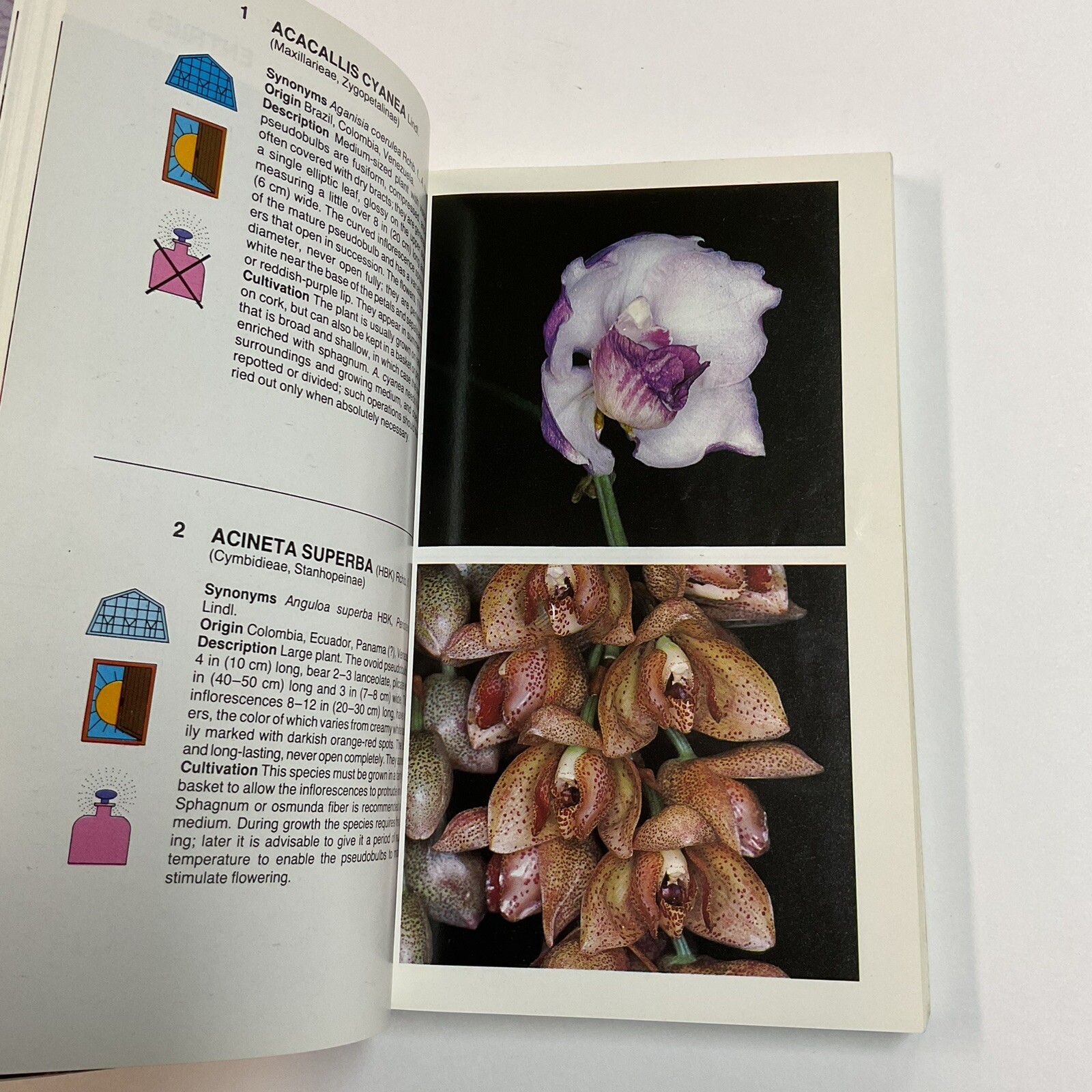 Simon & Schuster&rsquo;s Guide To Orchids Paperback Book Color Photos Flowers Plants