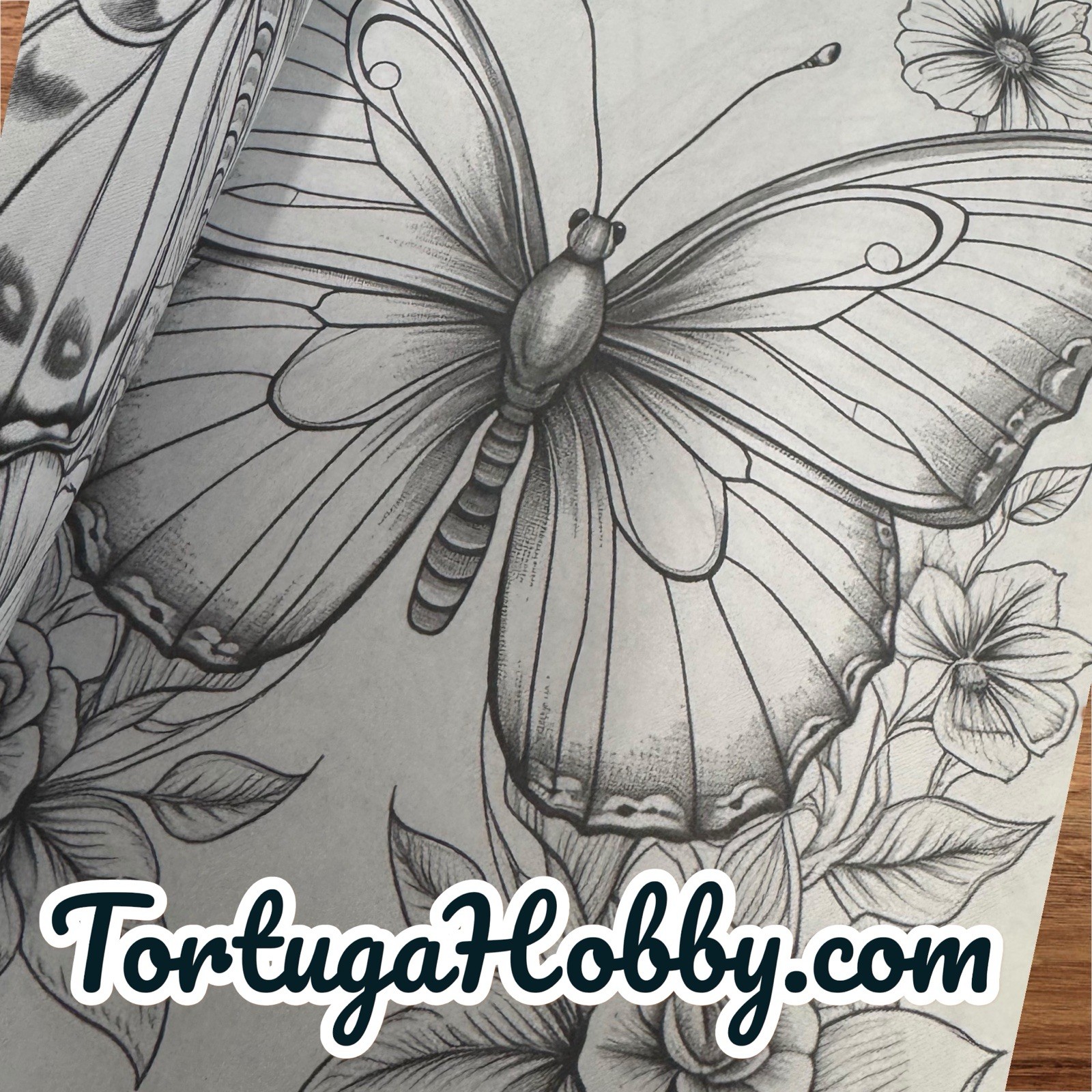 The World Of Butterflies – Adult Coloring Book – Coloring Book. 100+ Pages.