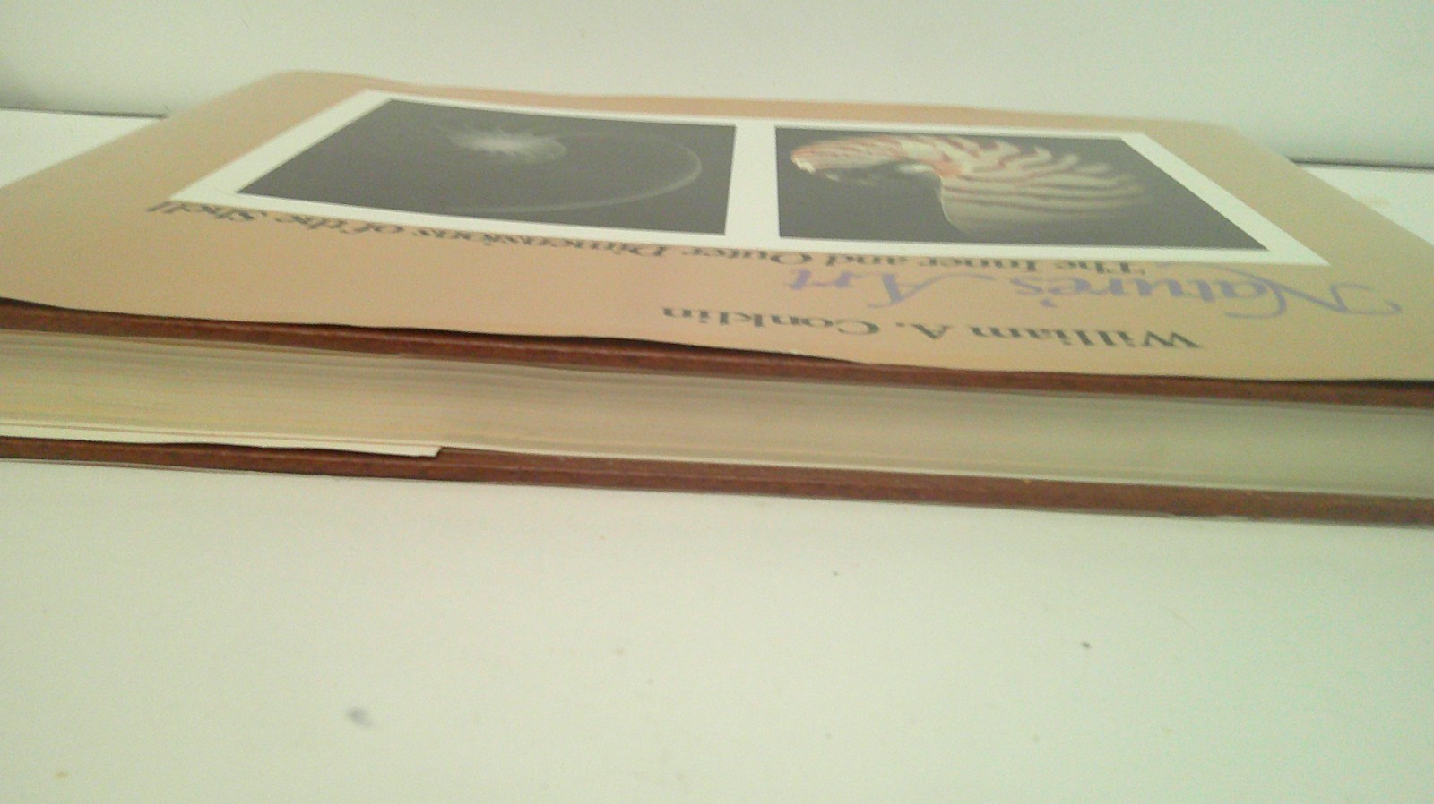 Nature&rsquo;s Art : The Inner and Outer Dimensions of the Shell by William A. Conklin