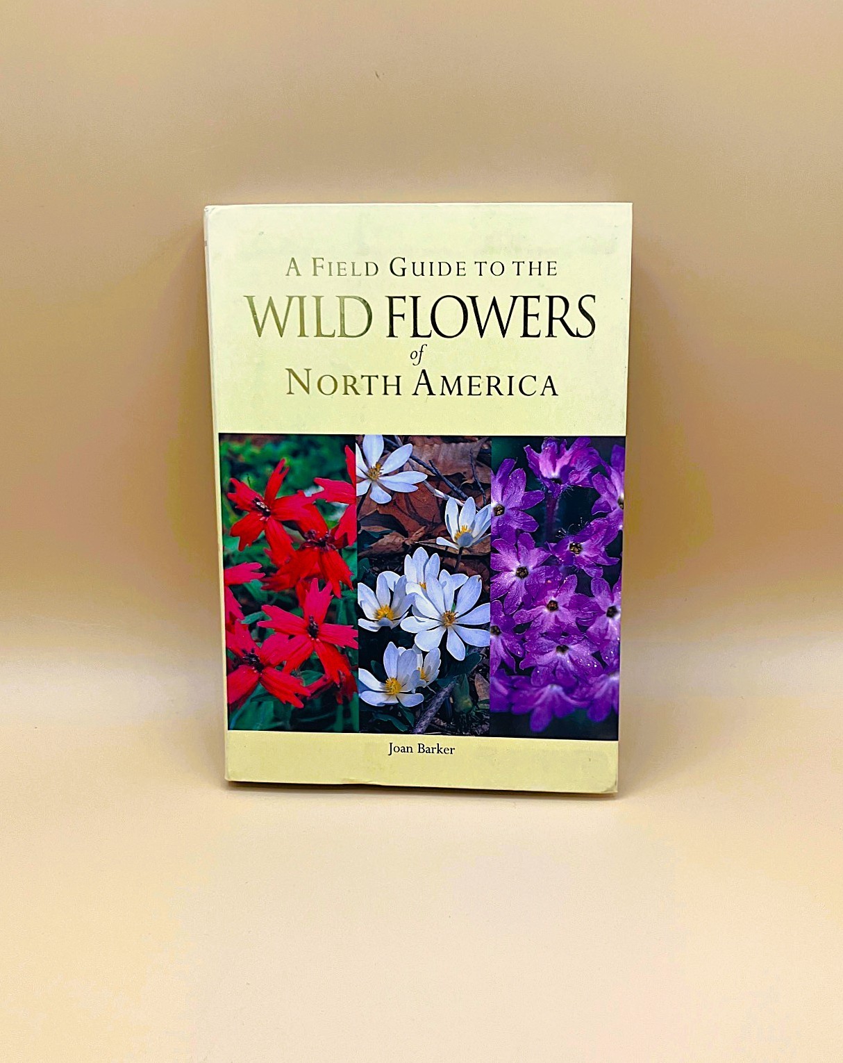 Gardener&rsquo;s Lot of 4 Books, Very Good, The Orchid Show, Etc.
