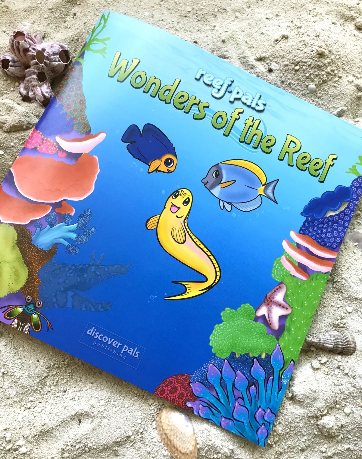 Reef Pals: Wonders of the Reef – NEW – Ocean Sea Coral Reef Kids Children&rsquo;s Book