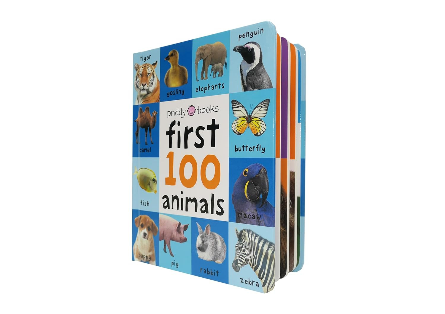 First 100 Animals: a Padded Book―Perfect for Little Hands to Hold