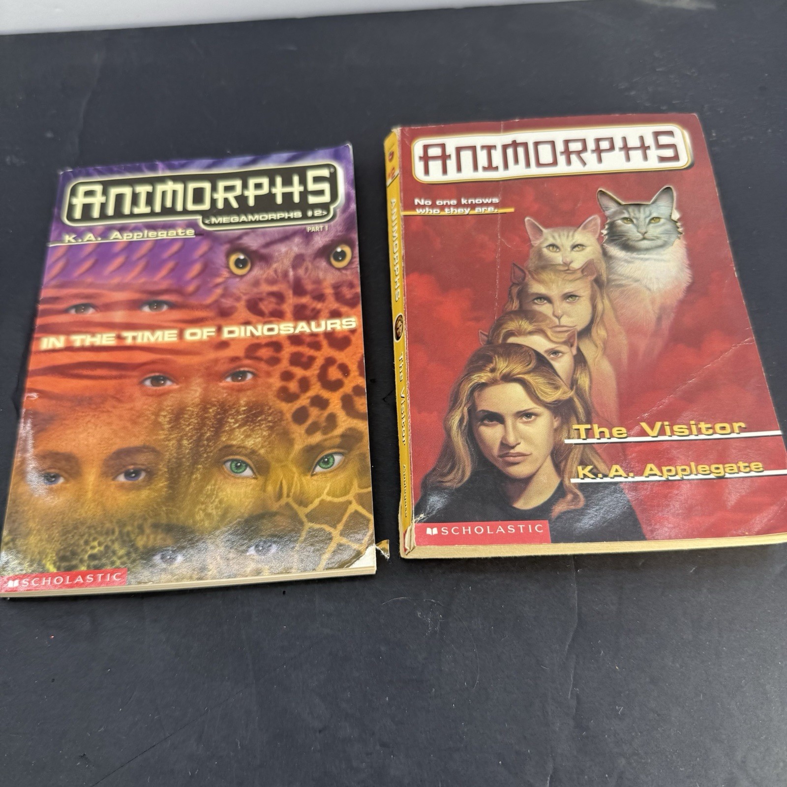 Animorphs Book Lot 7 K.A. Applegate #1 2 13 14 16 Megamorphs Scholastic